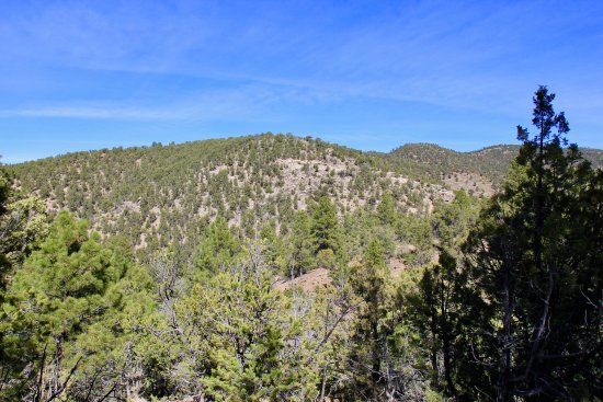 Randall Davey Audubon Center & Sanctuary